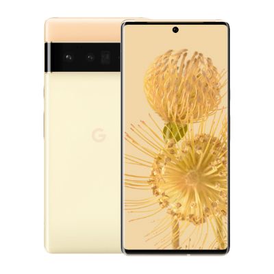 Pixel6 Pro